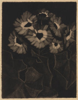 KG 1984 007
<br/>
Anemonen
<br/>
<em>Loeber, Louise Marie ('Lou') (1894-1983)</em>
